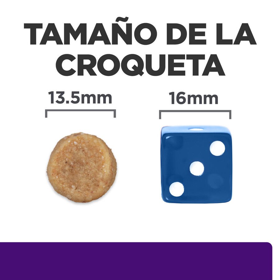 10 kg Hill's Prescription Diet Urinary Care u/d pienso para perros, , large Imagen numero 6